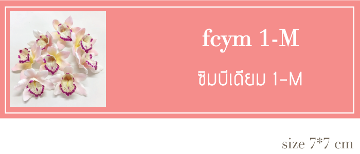 fcym1-m-header