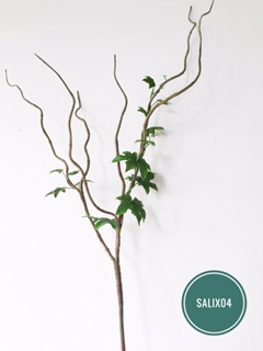 กิ่งซาลิค 04 / Salix 04 | Phalaen House Aritificial Flower  นำธรรมชาติมาสู่บ้านคุณ
