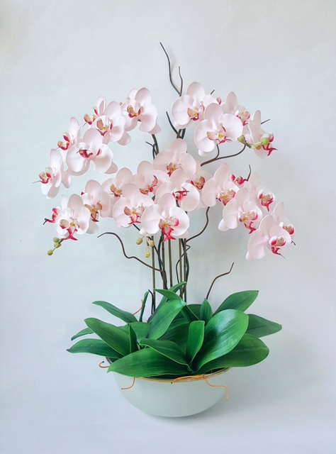 à¹à¸ˆà¸ à¸™à¸Ÿà¸²à¹à¸¥à¸™à¸™à¸­à¸›à¸‹ à¸ªà¸Šà¸¡à¸ž 5 à¸Š à¸­ Pink Phalaenopsis Set 5 Stems Phalaen House Aritificial Flower A A A A A A A A A A A A C A A A A A A A A A